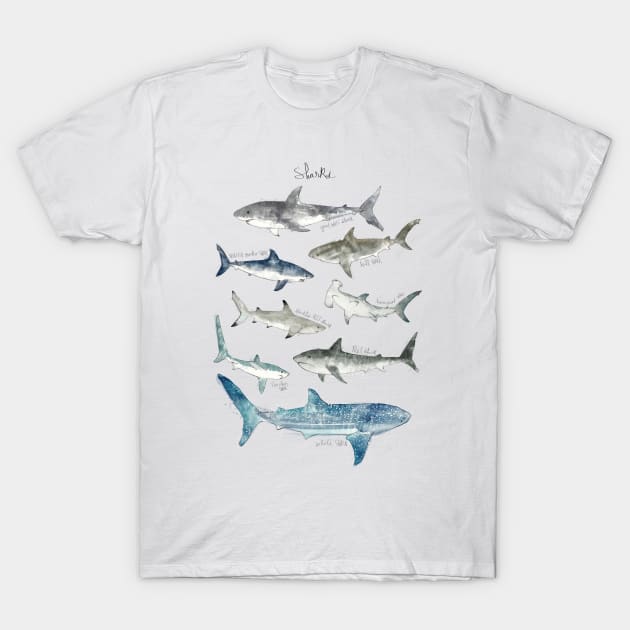 Sharks T-Shirt by Amy Hamilton